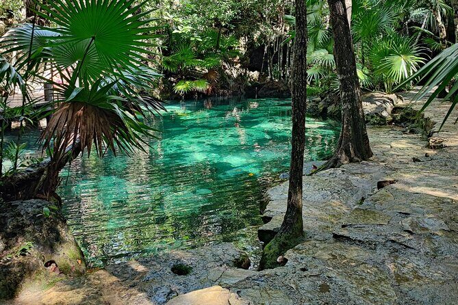 Half-day Tulum ruins and cenote swim arrive before the crowds - Authentic Experiences and Personal Touches