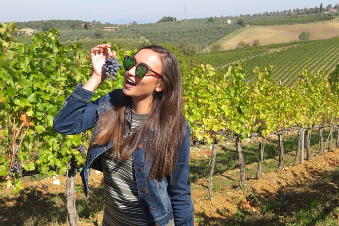 Half-Day Tuscany Wine Tour With 2 Wineries From Near San Gimignano - Tour Overview