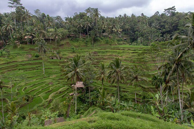 Half Day Ubud and Tampak Siring Private Tour From Bali - Good To Know