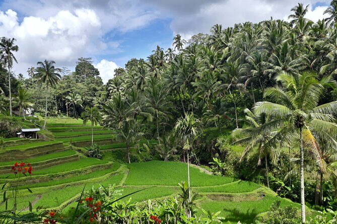 Half Day Ubud and Tampak Siring Private Tour From Bali - Practical Details: What You Need to Know