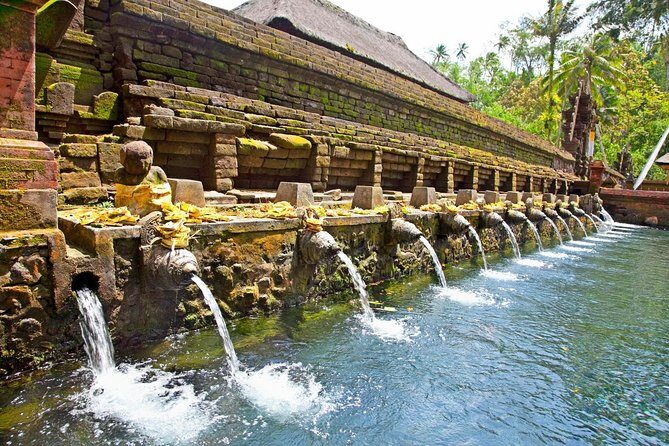 Half Day Ubud and Tampak Siring Private Tour From Bali - What’s Included and What to Keep in Mind