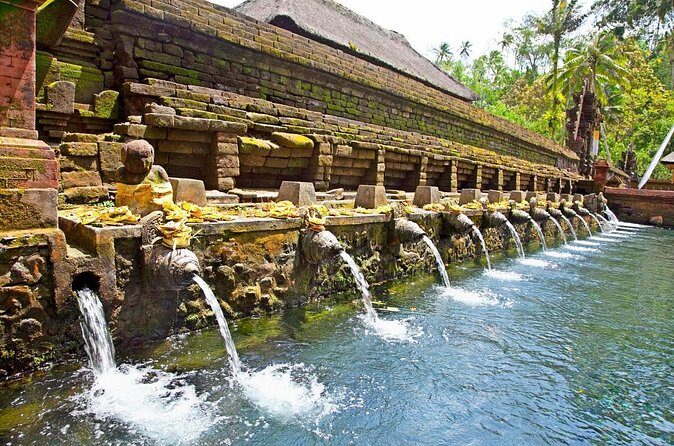 Half Day Ubud and Tampak Siring Private Tour From Bali - Practical Tips for Making the Most of This Tour