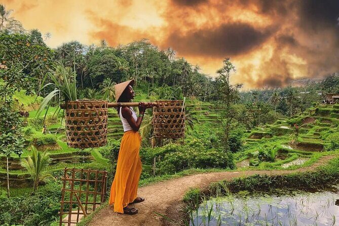 Half Day Ubud Private Tour - All Inclusive - Who Is This Tour Best For?