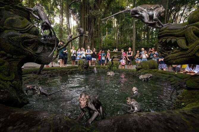 Half Day Ubud Private Tour with All Inclusive - What You Can Expect: Practical Details