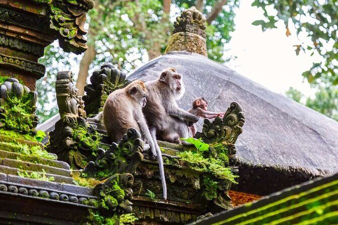 Half Day Ubud Private Tour with All Inclusive - FAQ