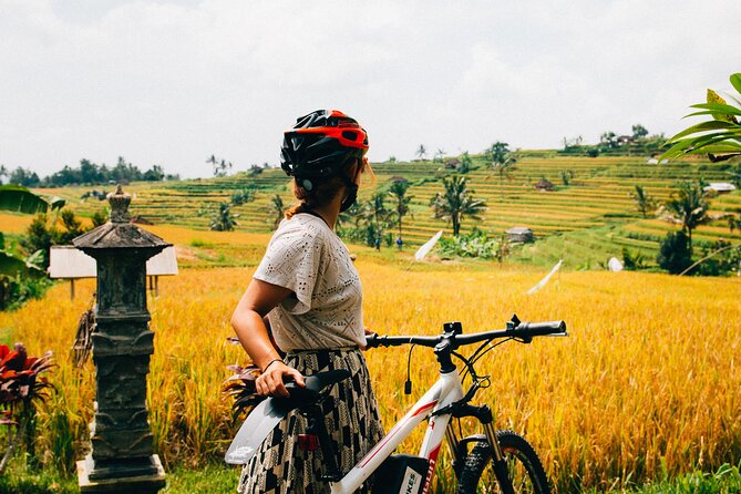 Half-Day Ubud Rice Field and Village Cycling Tour - Overview of the Tour