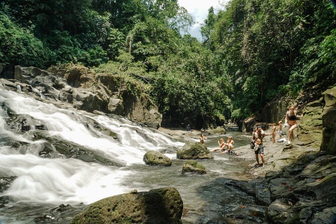 Half Day Ubud Waterfall Tour - Tour Overview