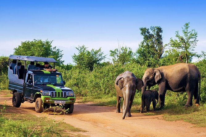 Half Day Udawalawe Safari (Entrance Lunch) - Cancellation Policy
