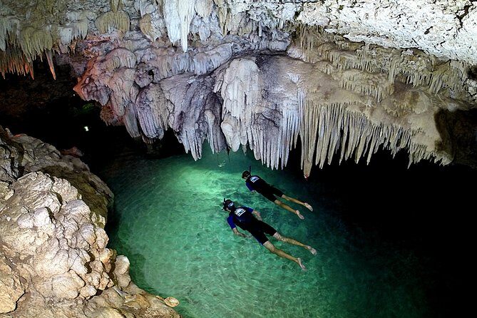 Half-Day Underwater World Tour - Good To Know