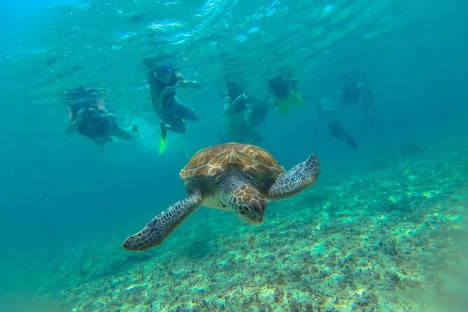 Half-Day Underwater World Tour - FAQ