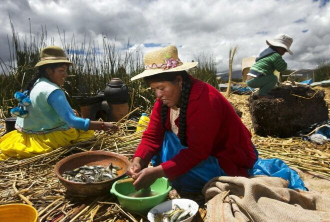 Half-Day Uros Floating Islands Tour From Puno - Experience Highlights on Uros Islands