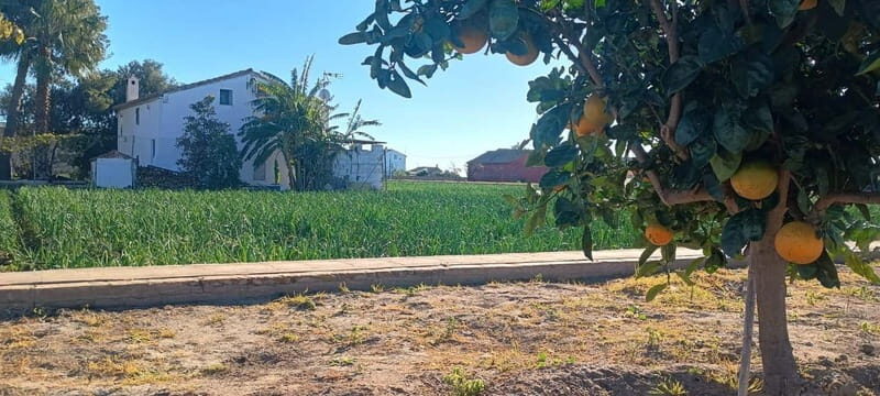 Half Day Valencia Foodie Cycling Tour - FAQs