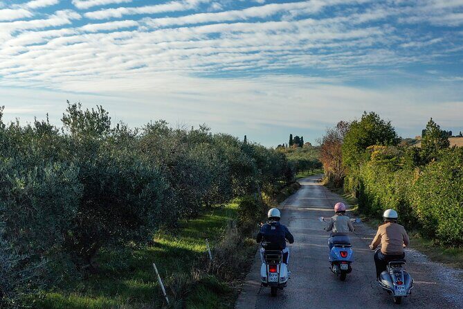 Half Day Vespa Countryside Tour and Tastings in Istria - Riding the Vespas: What to Expect