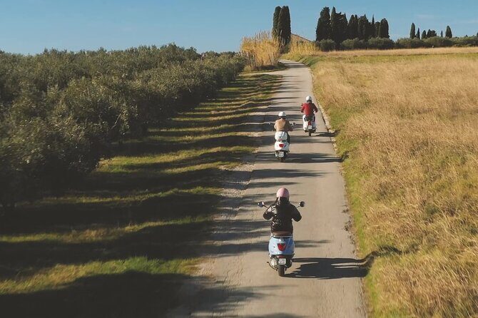 Half Day Vespa Countryside Tour and Tastings in Istria - Who Will Love This Tour?