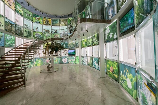 Half-day Vibrant Ha Long Heritage Tour - Good To Know