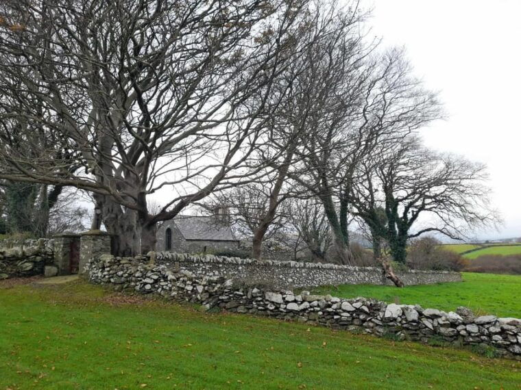Half Day Viking and Celtic Heritage Tour - Who Would Love This Tour?