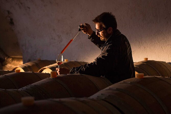 Half-Day Virtual Reality Tour and Wine Tasting - Virtual Vineyard Exploration