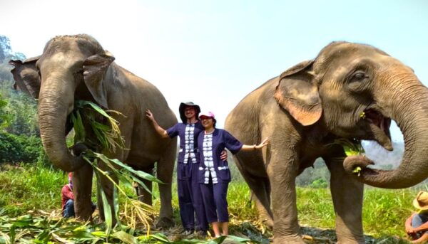 Half-Day Visit at CHIANGMAI ELEPHANT CARE Program (8am-1pm) - Break Down