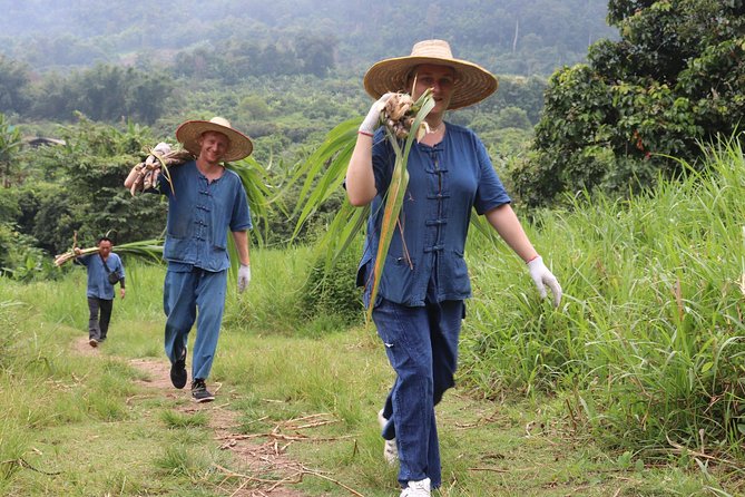 Half Day Visit Chiang Mai Eco Elephant Care - Contact and Support