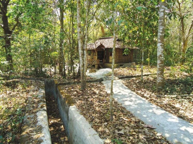Half-Day Visit Cu Chi Tunnels - Experience and Activities