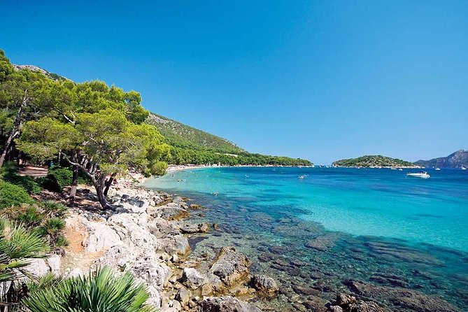 Half-Day Visit to Formentor Beach by Catamaran - Visit Formentor Playa