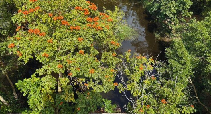 Half Day Visit to Lung Ngoc Hoang Nature Reserve in Can Tho City - Highlights