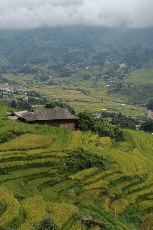 Half Day Visit Y Linh Ho,Lao Chai,Ta Van Trekking With Lunch - Good To Know