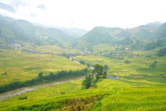 Half Day Visit Y Linh Ho,Lao Chai,Ta Van Trekking With Lunch - Inclusions and Exclusions