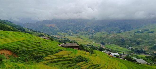 Half Day Visit Y Linh Ho,Lao Chai,Ta Van Trekking With Lunch - Customer Reviews