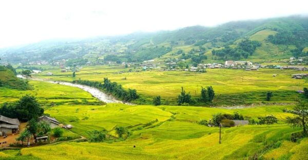 Half Day Visit Y Linh Ho,Lao Chai,Ta Van Trekking With Lunch - Local Culture and Community