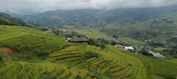 Half Day Visit Y Linh Ho,Lao Chai,Ta Van Trekking With Lunch - Booking Information