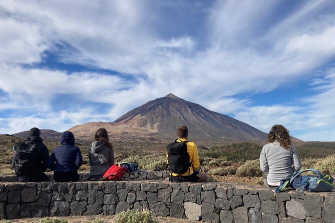 Half Day Volcanic Experience in Tenerife - Pricing and Reservation Details