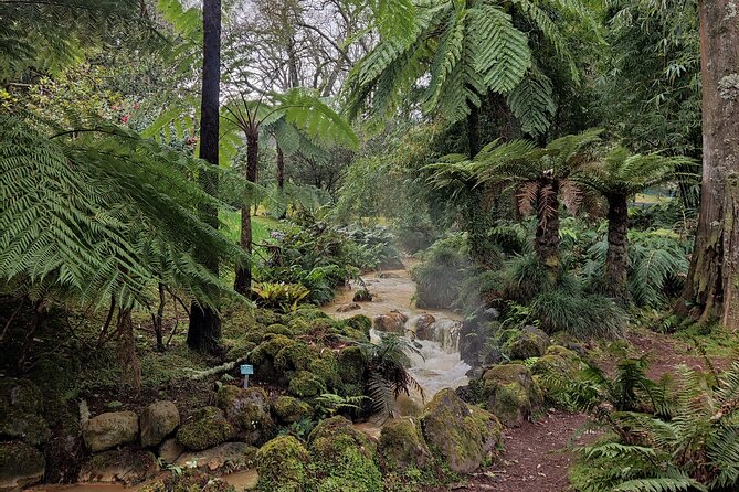 Half Day Volcano of Fogo and Furnas Private Tour - Private Tour Benefits