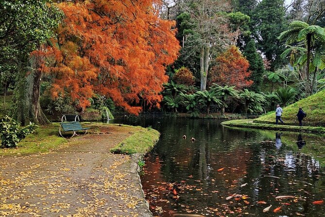 Half Day Volcano of Fogo and Furnas Private Tour - The Sum Up