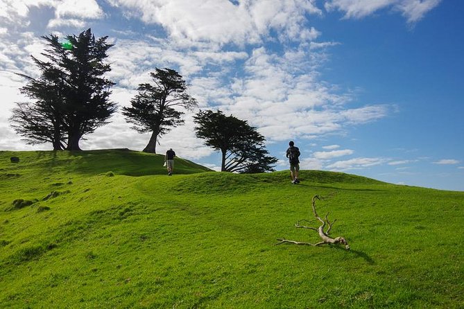 Half-Day Volcano Tour From Auckland - Common Questions