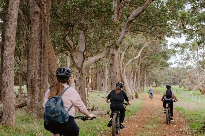 Half Day Wadandi Track Scenic E-Bike Tour - Good To Know  