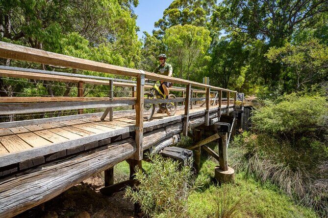 Half Day Wadandi Track Scenic E-Bike Tour - Who Is This Tour Best For?  