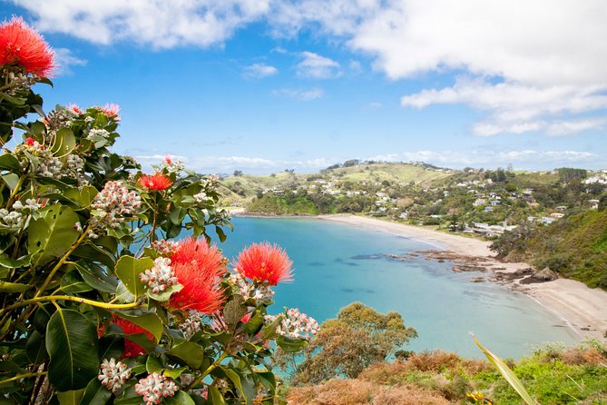 Half Day Waiheke Wine Tour - Vineyard Visits