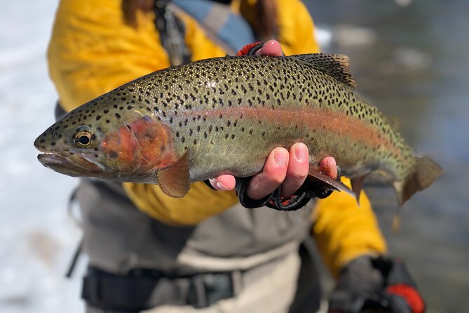 Half Day Walk and Wade Fly Fishing Trip - Trip Duration and Inclusions