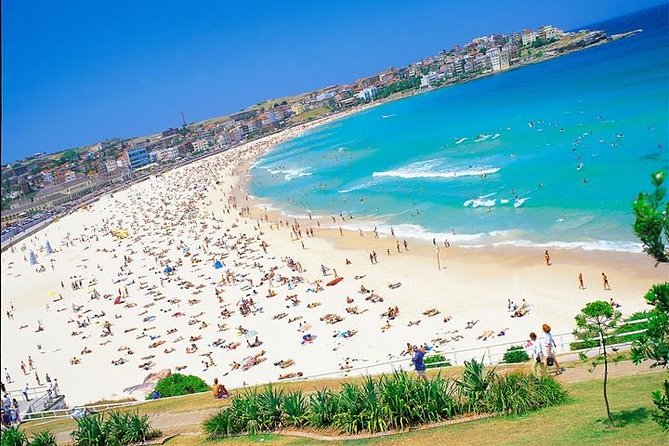 Half-Day Walking Tour in Sydney - Exploring Vibrant Neighborhoods