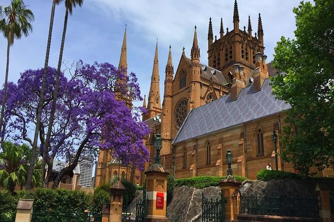 Half-Day Walking Tour in Sydney - Immersive Cultural Experiences