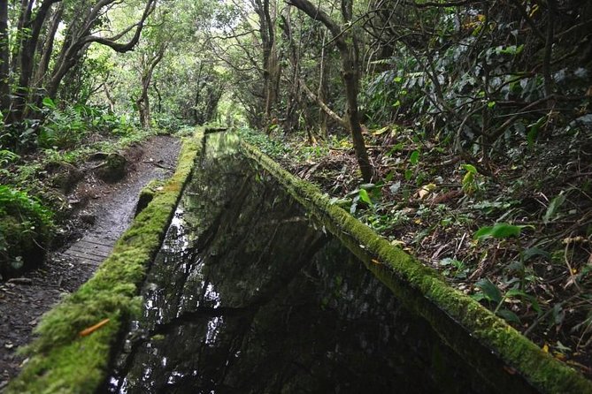 Half Day Walking Tour Lagoa Do Fogo Trail - Tour Overview