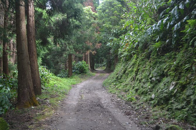 Half Day Walking Tour Lagoa Do Fogo Trail - Pricing Information
