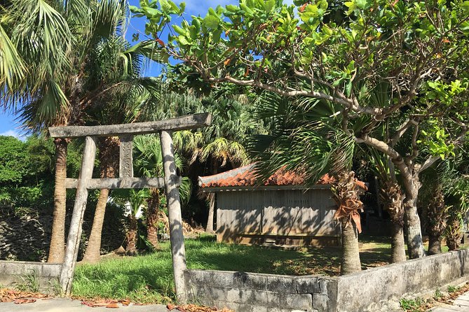 Half-Day Walking Tour to Indigenous Iriomote Village  - Iriomote-jima - Tour Overview and Highlights