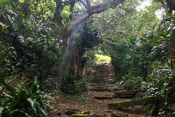 Half-Day Walking Tour to Indigenous Iriomote Village  - Iriomote-jima - Price and Additional Information