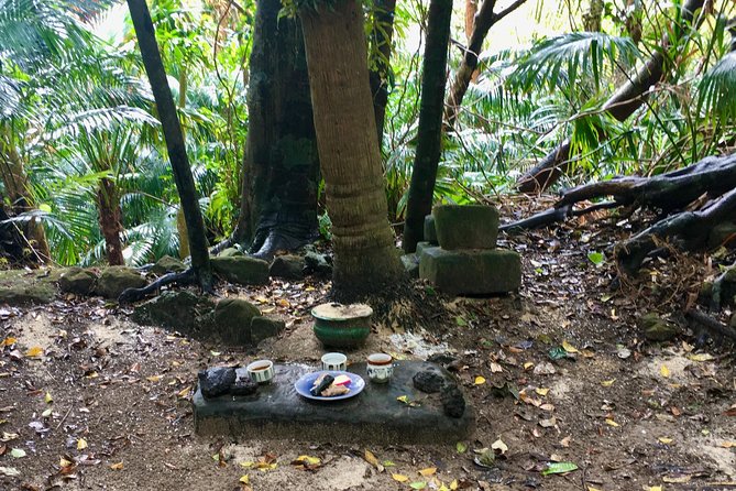 Half-Day Walking Tour to Indigenous Iriomote Village  - Iriomote-jima - Directions