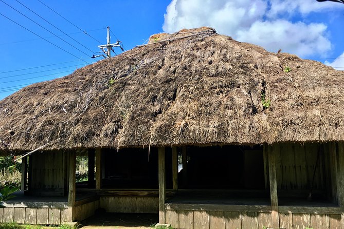 Half-Day Walking Tour to Indigenous Iriomote Village  - Iriomote-jima - Common Questions