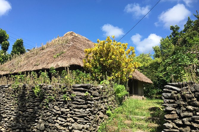 Half-Day Walking Tour to Indigenous Iriomote Village  - Iriomote-jima - The Sum Up