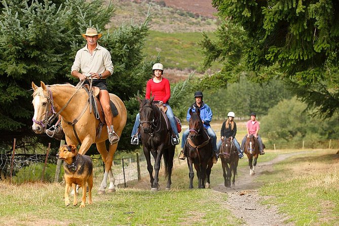 Half-Day Walter Peak Horse Trek From Queenstown - Cancellation Policy