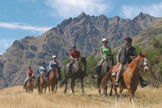 Half-Day Walter Peak Horse Trek From Queenstown - Feedback and Issues